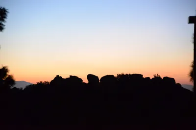 DSC_8930 (Large).JPG